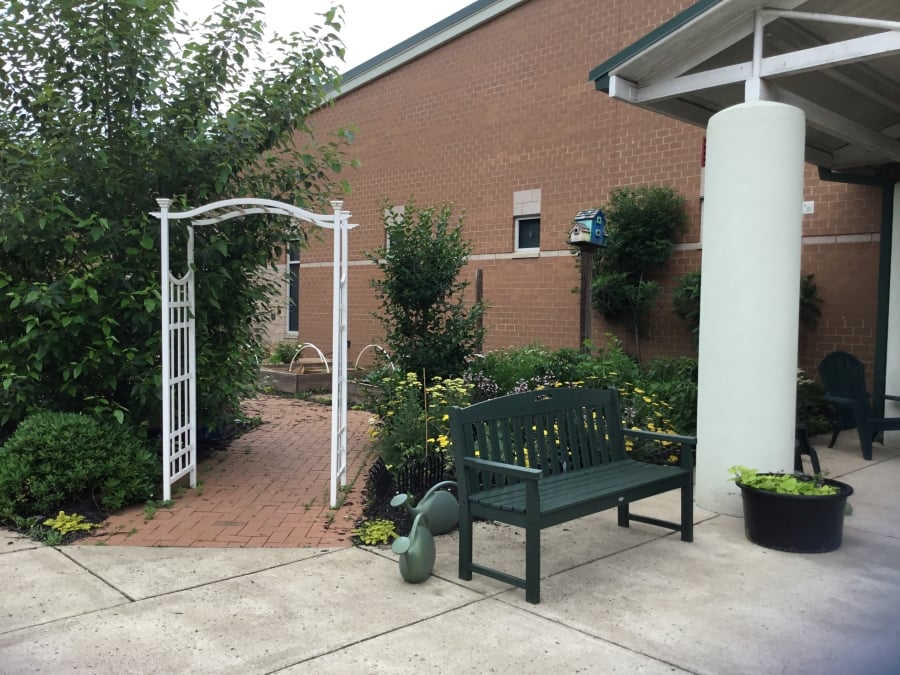 trellis and bench in front of garden behind the school trellis and bench in front of garden behind the school