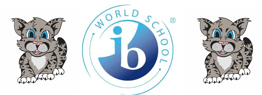 wildcat and ib logo